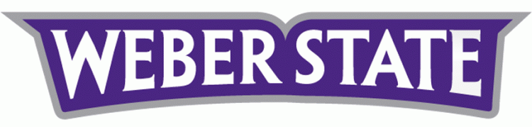Weber State Wildcats 2012-Pres Wordmark Logo t shirts iron on transfers...